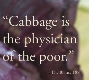 Cabbage is the physician of the poor.  - Dr. Blanc, 1881