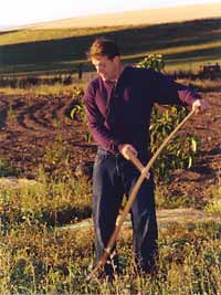 farm hand brian westgate