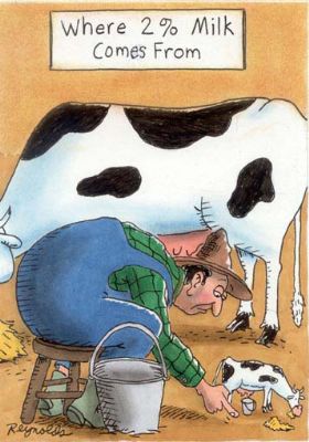 MaryJanesFarm Farmgirl Connection - Funny Farm Cartoons