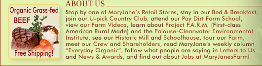 About Us