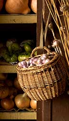 Garlic hanging in a wicker basket; squash, onions, and green tomatoes on a shelf behind