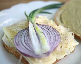 Slice of sprouting onion laid on a bed of sauerkraut on cheese on a slice of bread
