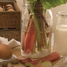 Jar of Rhubarb (and other pie ingredients)