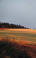 Farm Landscape