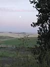 Farm Landscape