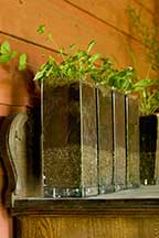 Repurposed glass potting containers