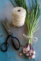 garlic bundle and scissors