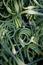 garlic scapes