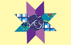 Garage Door Quilts: Friendship Star